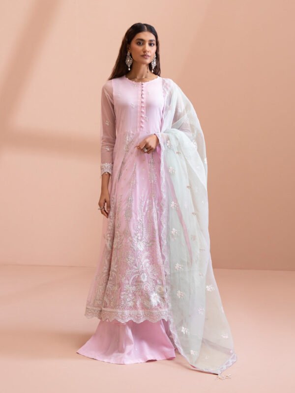 3 Piece - Dyed Embroidered Blended Net Suit